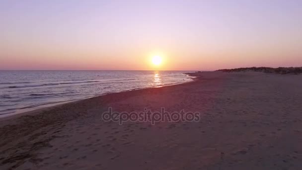 Plajda egzotik günbatımı — Stok video