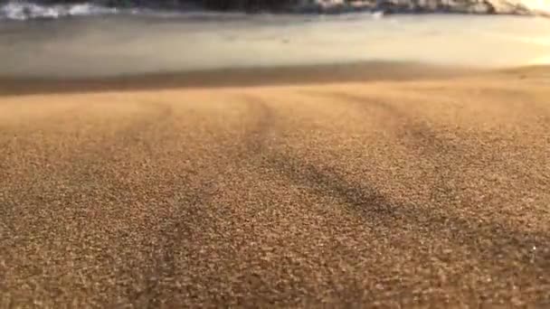 Тропический песчаный пляж — стоковое видео