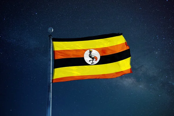 Bandiera Uganda sull'albero — Foto Stock