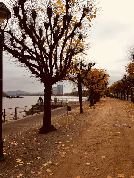 Bonn Alemanha Novembro 2017 Doca Fluvial Reno Bona — Fotografia de Stock