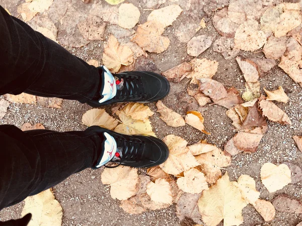 Jordan Sneakers Fallen Leaves Top View — Stock Photo, Image