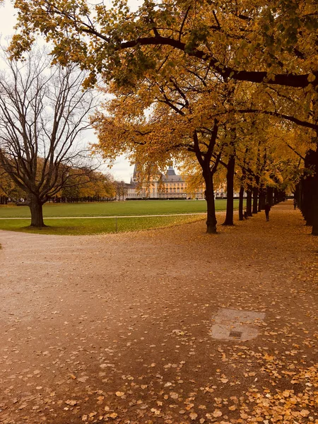 Autumnal Park University Bonn — Stock Photo, Image