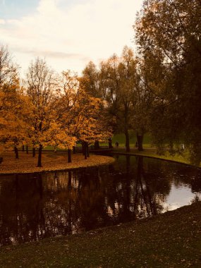 Sonbahar park Bonn Gölü ile