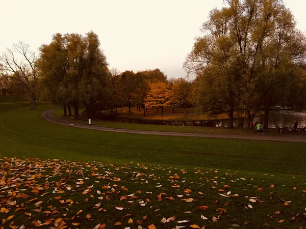 Осенний Парк Бонна Закате — стоковое фото