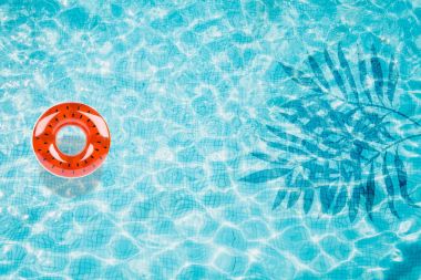 Havuzu alt şişme karpuz ve palmiye gölge Üstten Görünüm