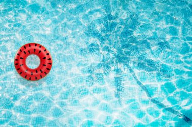 Havuzu alt şişme karpuz ve palmiye gölge Üstten Görünüm