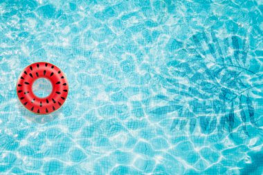 Havuzu alt şişme karpuz ve palmiye gölge Üstten Görünüm