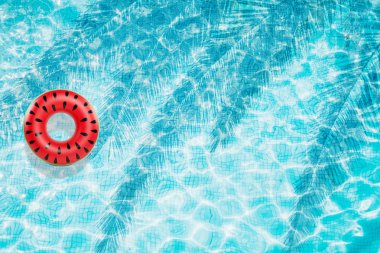 Havuzu alt şişme karpuz ve palmiye gölge Üstten Görünüm