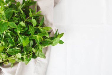 arka plan beyaz bez dokusu üzerinde yeşil nane yaprakları 