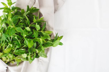 arka plan beyaz bez dokusu üzerinde yeşil nane yaprakları 