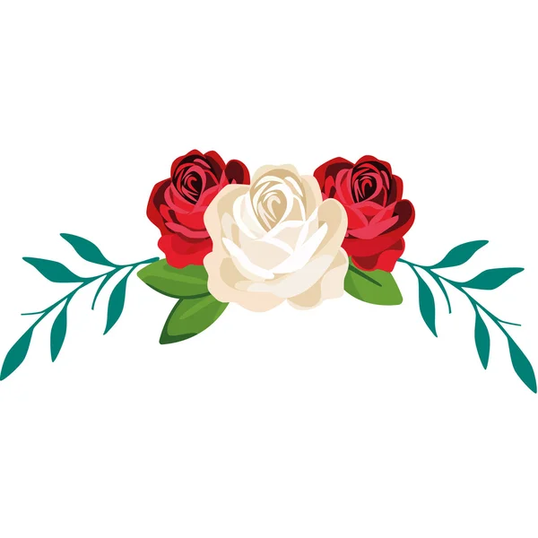 The ornament of white and red roses — Stock Vector