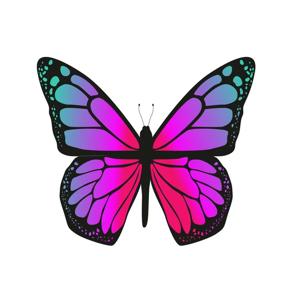 The butterfly with pink wings — Stock Vector