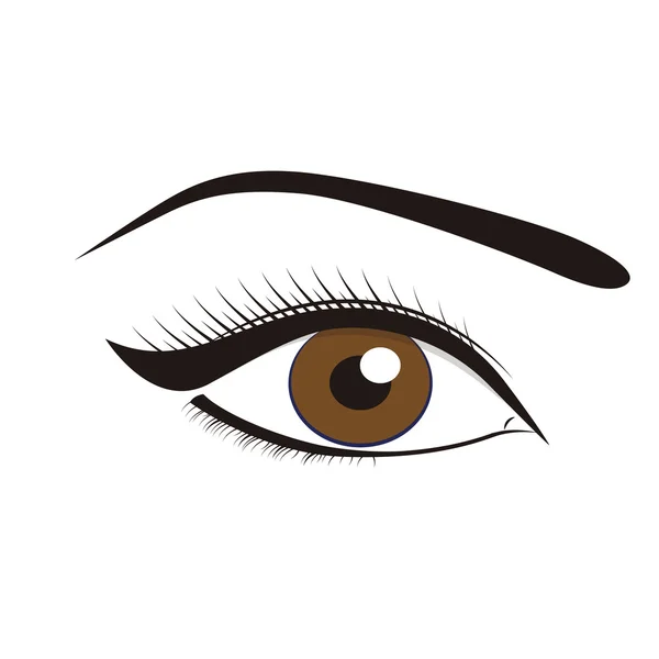 Vackra bruna ögon — Stock vektor
