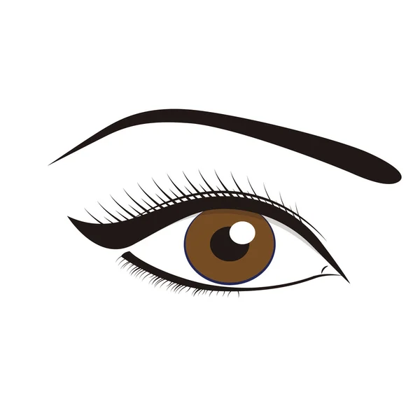 Hermosos ojos marrones — Vector de stock