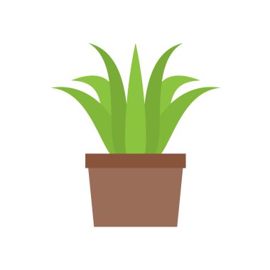 Kapalı yeşil bitki