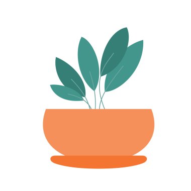 bir tencerede houseplant