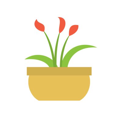 Kapalı çiçek bitki