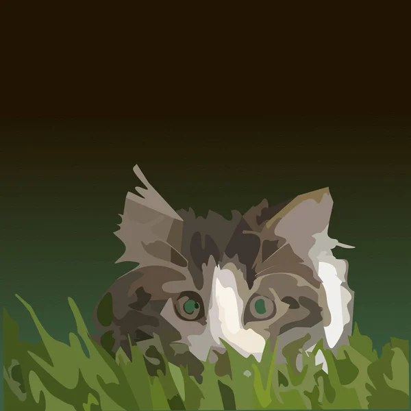 Klein katje in het gras. — Stockvector