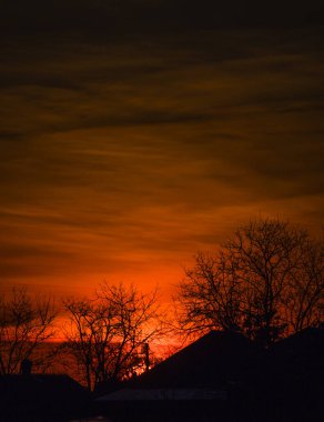 Sarı günbatımı, kırmızı renkli ve ağaçlı..