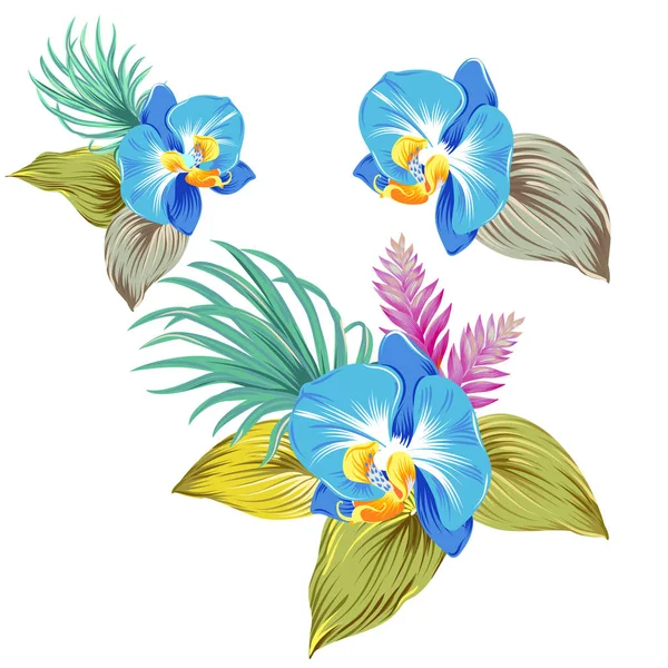 Ensemble d'orchidées vectorielles. isolé . — Image vectorielle