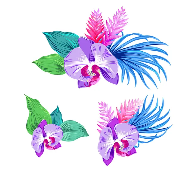 Set of vector orchids. isolated. — Stock Vector