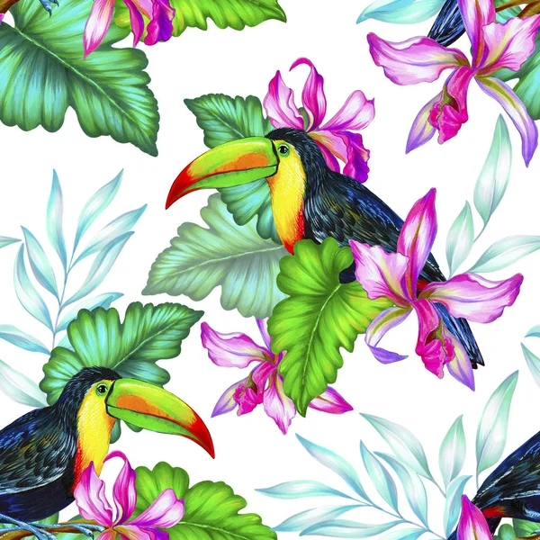 Toucan et orchidées, paterne tropicale sans couture . — Photo