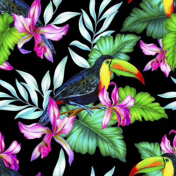 Toucan et orchidées, paterne tropicale sans couture . — Photo