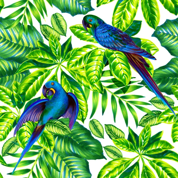 Folhas de palma e pássaros azuis, design de papel de parede exótico . — Fotografia de Stock