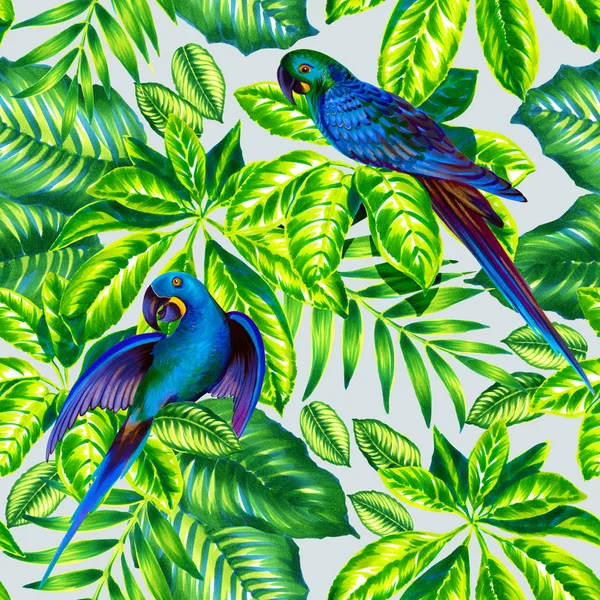 Geweldig patroon met papegaaien — Stockfoto