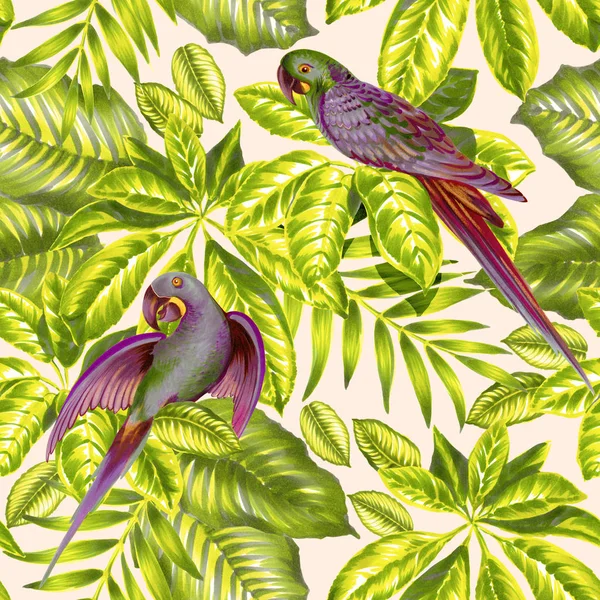 Design tropicale senza cuciture con pappagalli . — Foto Stock