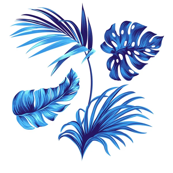 Vector tropical leaves, isolated objects for use. — Stock Vector