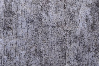 Ahşap arka plan doku ve Özet 