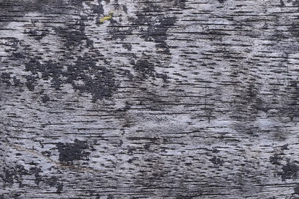 Wood Background  Texture and Abstract — Stock Photo, Image