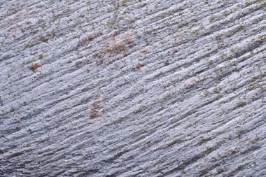 Ahşap arka plan doku ve Özet 