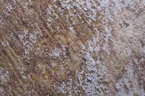 Textura de fondo de madera y abstracto — Foto de Stock