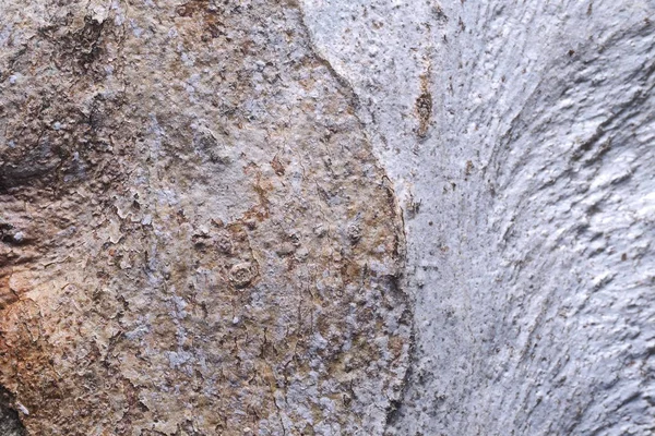 Ahşap arka plan doku ve Özet 