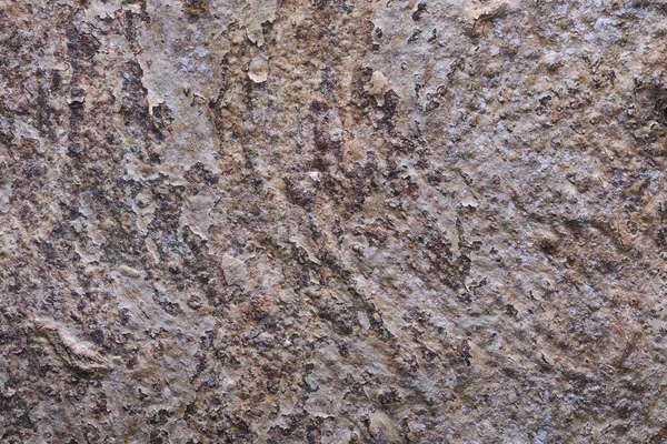 Struttura di fondo in legno e astratto — Foto Stock