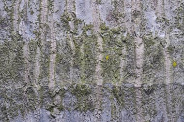 Ahşap arka plan doku ve Özet 