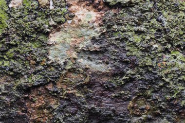 Ahşap arka plan doku ve Özet 