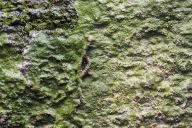 Ahşap arka plan doku ve Özet 