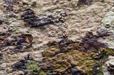 Ahşap arka plan doku ve Özet 