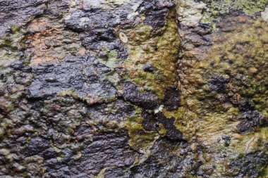 Ahşap arka plan doku ve Özet 