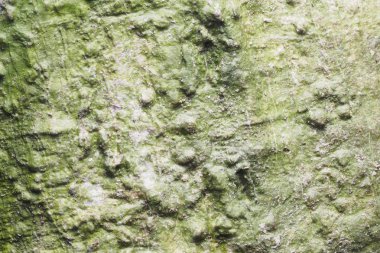 Ahşap arka plan doku ve Özet 