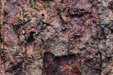 Ahşap arka plan doku ve Özet 