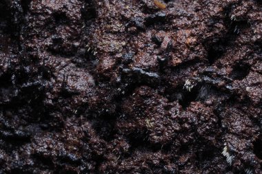 Ahşap arka plan doku ve Özet 