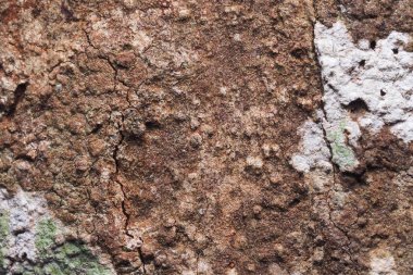 Ahşap arka plan doku ve Özet 