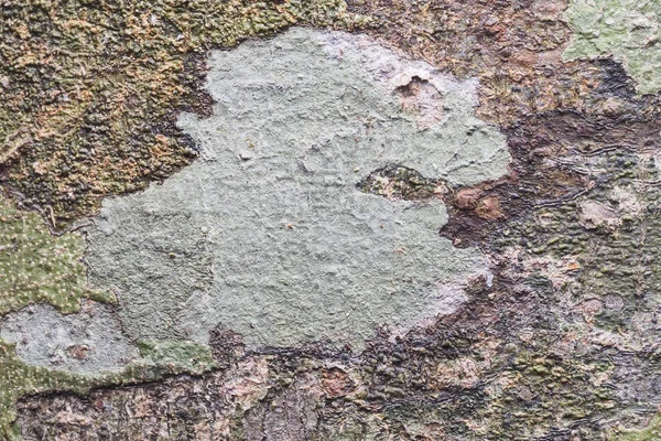 Textura de fondo de madera y abstracto — Foto de Stock