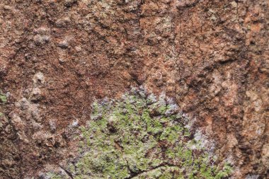 Ahşap arka plan doku ve Özet 