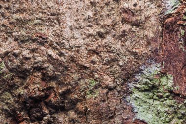 Ahşap arka plan doku ve Özet 