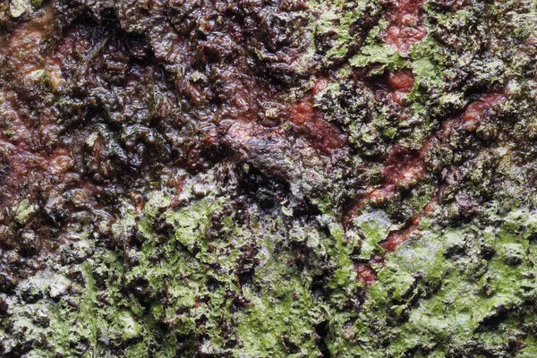 Ahşap arka plan doku ve Özet 